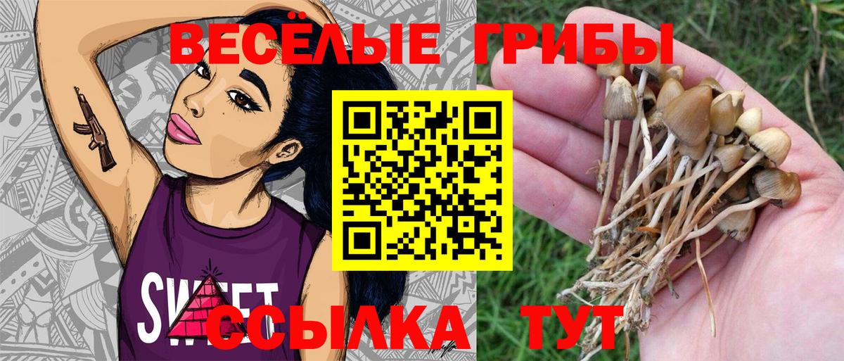 Псилоцибиновые грибы ЛСД  Вход с VPN  Кунгур 